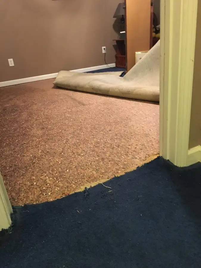 Carpet pad removal revealing water damage during Drying & Dehumidification in San Carlos Park
