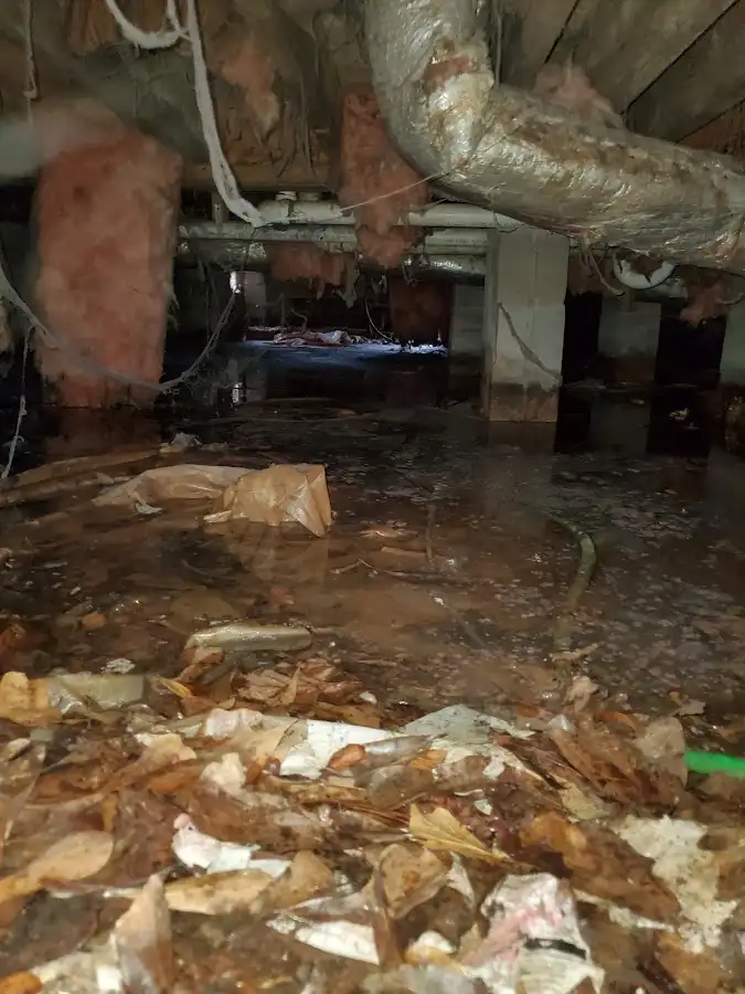 Crawl space flood assessment for Commercial Water Damage Restoration in San Carlos Park
